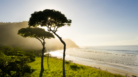 Playa Barrigona - Destination Photo